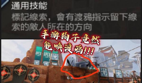 GPS鹰眼定位去哪里找（靠谱GPS鹰眼定位怎么获得？）